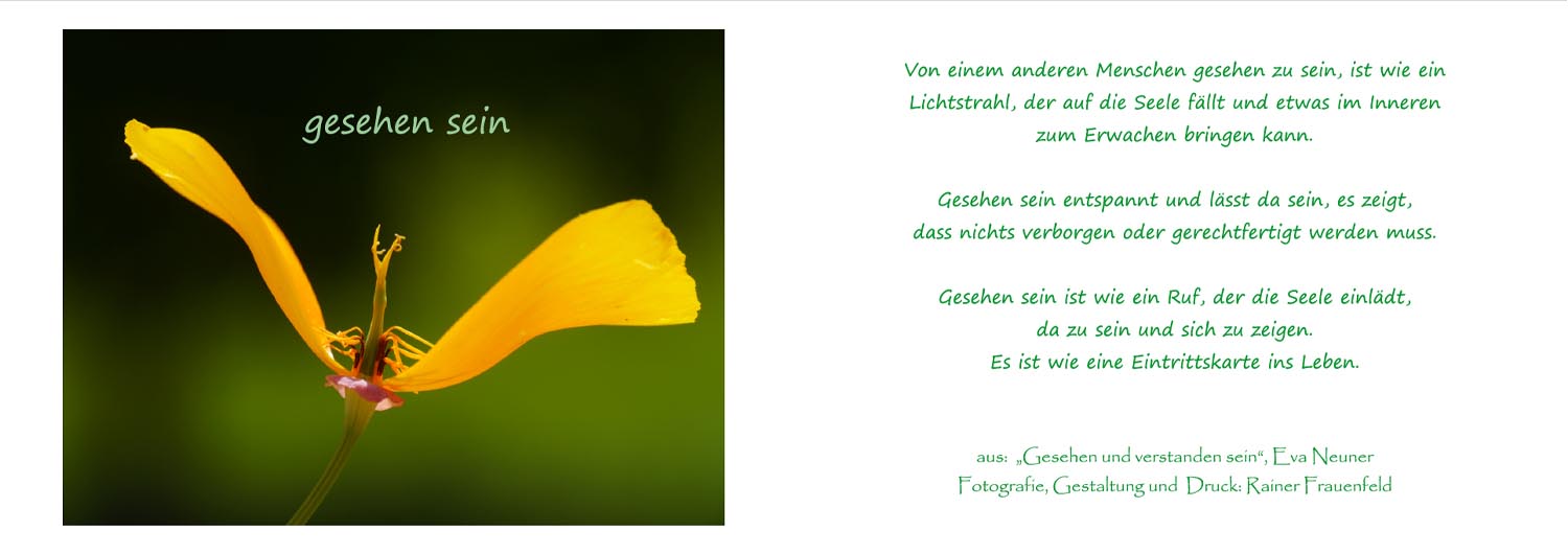 gesehen sein